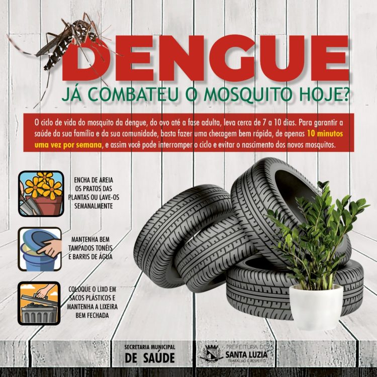 Semana de Mobilização contra o Mosquito Aedes aegypti - Prefeitura  Municipal de Ituporanga