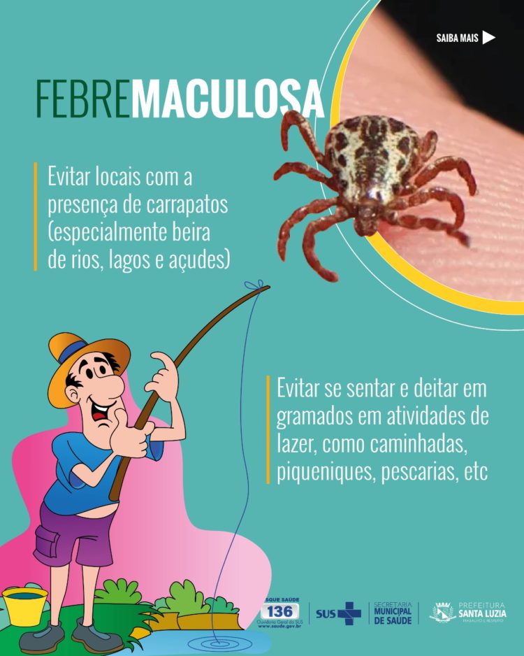 Febre maculosa: casos aumentam em período de seca, veja ações