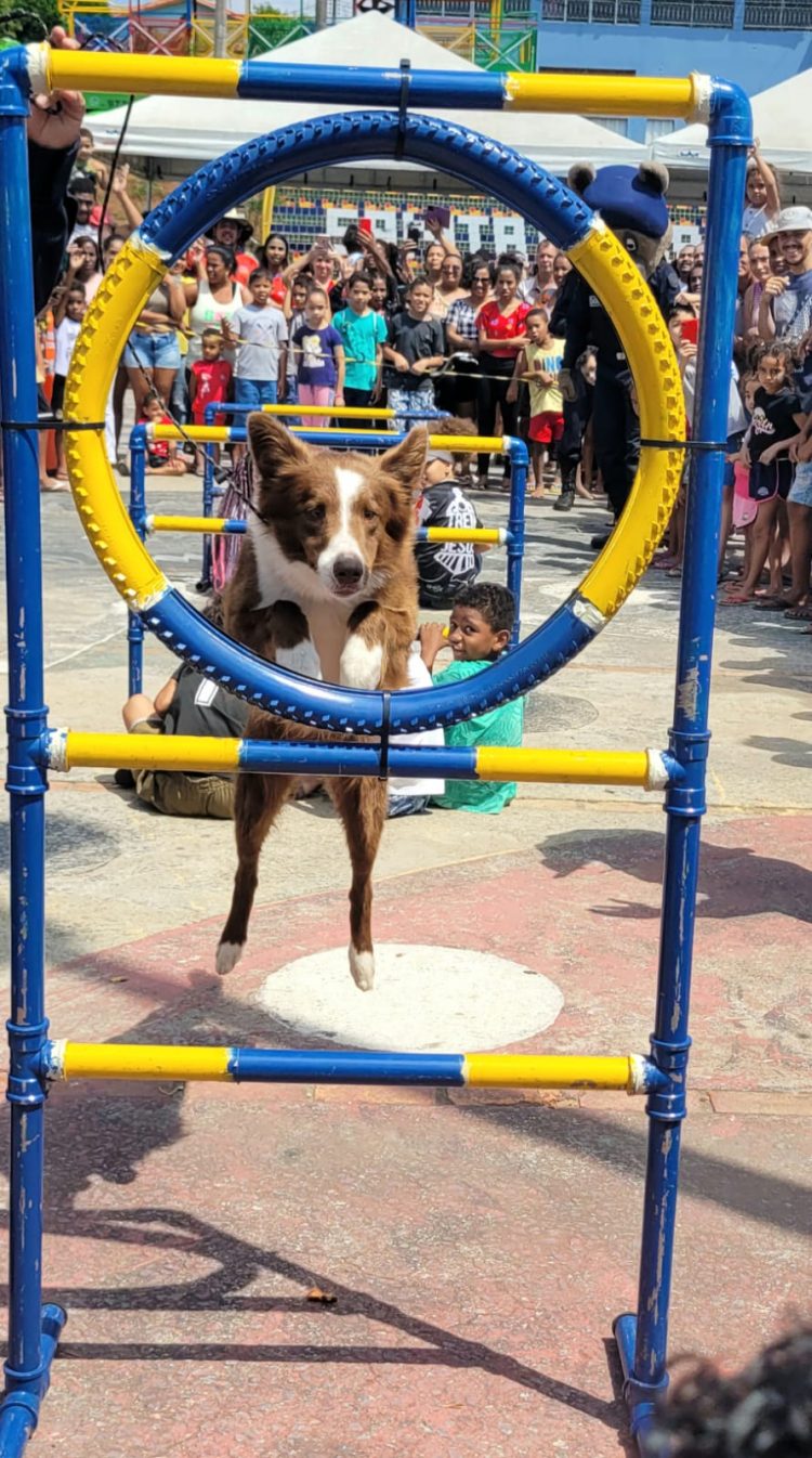 Jogo De Tabuleiro Infantil Leis Trânsito - Pais E Filhos