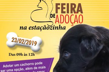 Feira de adoção de cães e gatos