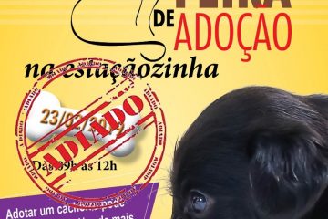 Feira de Adoção de Cães e Gatos é adiada