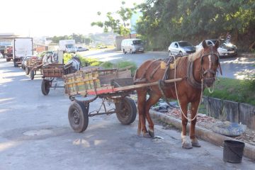 Prefeitura se reúne com carroceiros para discutir sobre instalação de ecopontos