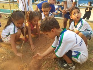 Alunos de escolas municipais fazem plantio de mudas pelo Dia da Árvore