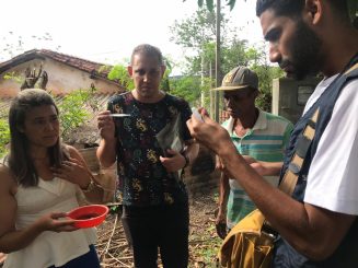 Período chuvoso aumenta alerta contra Aedes aegypti