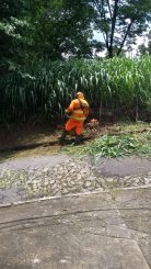 Prefeitura realiza serviços de varrição e capina em vários pontos da cidade neste sábado