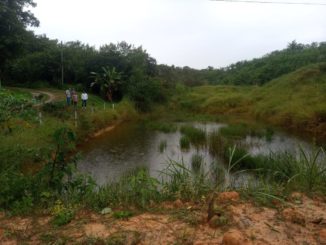 Núcleo de Terapias Naturais da Prefeitura, na Fazenda Boa Esperança, será reformado nas próximas semanas.  Espaço está em estudos para habilitação nas novas normas do Ministério da Saúde para ser reaberto