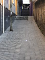 Beco das Flores será palco do próximo projeto de revitalização e ganhará “calçada da fama” com estrelas no piso e decoração com flores nos muros e artes nas escadarias