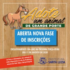 Aberta nova fase de inscrições para adoção de animais de grande porte