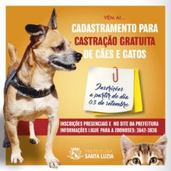Estão abertas as inscrições para castração de cães e gatos