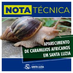 Nota técnica Aparecimento de Caramujos Africanos
