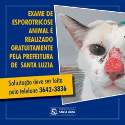 Exame de Esporotricose animal agora é realizado também no Canil Municipal