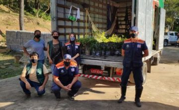 Santa Luzia recebe 5 mil mudas para arborizar Rio das Velhas e Fazenda Boa Esperança