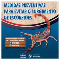 Medidas preventivas para evitar o surgimento de escorpiões