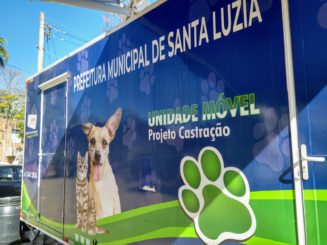 Prefeitura concentra castrações em felinos e solicita que os tutores não faltem