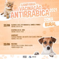 Programação da vacinação antirrábica na zona rural