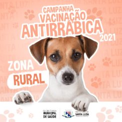 Vacinação antirrábica na zona rural começa na segunda-feira (20)