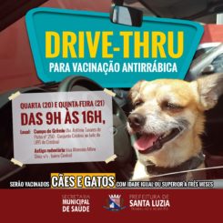 Prefeitura promoverá drive-thru para vacinação antirrábica