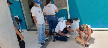 “Dia D” da campanha de vacinação antirrábica superou expectativas