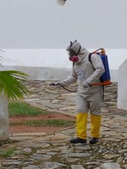 Prefeitura promove ação preventiva contra barbeiro transmissor da doença de Chagas