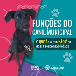 A Prefeitura de Santa Luzia, por meio do Departamento de Vigilância Ambiental e Controle de Zoonoses, esclarece as atribuições do Canil Municipal