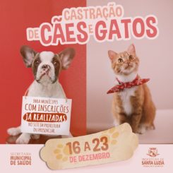 Prefeitura realizará mutirão de castração de cães e gatos para pessoas já inscritas no sistema do município para realização do procedimento