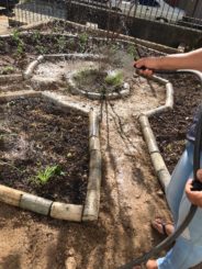 Prefeitura desenvolve projeto de horta comunitária nos equipamentos públicos municipais