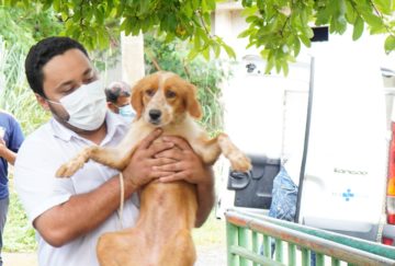Prefeitura resgata animais desalojados pelas águas