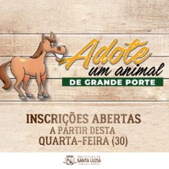 Prefeitura abre inscrições para adoção de equinos