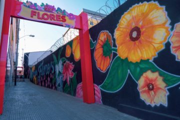 Inaugurados os pórticos e trabalhos artísticos de decoração do projeto “Nossos Becos, Nossas Histórias” na Avenida Brasília e outros locais