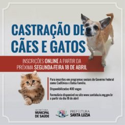 Inscrições para Castramóvel começam dia 18 de abril