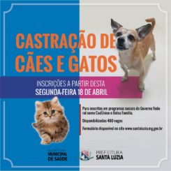 Abertas as inscrições para castração de cães e gatos em Santa Luzia
