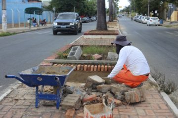 Canteiro central da Av. do Carmo passa por revitalização