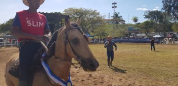 Festa de cavalos retoma tradição equestre de Santa Luzia