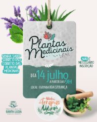 Núcleo de Terapias Naturais promoverá encontro para orientação sobre o uso correto e científico das plantas medicinais