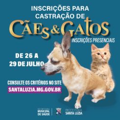Inscrições para castração de cães e gatos começam na próxima terça, dia 26