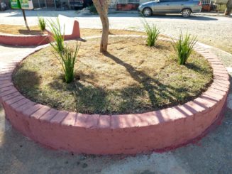 Mais uma praça é revitalizada pela Prefeitura de Santa Luzia