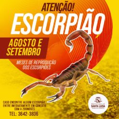 ATENÇÃO!