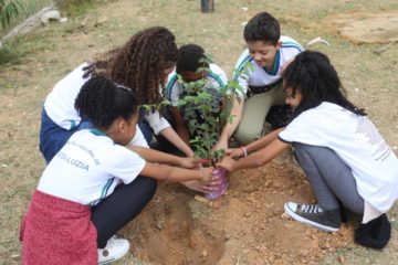Campanha de conscientização realiza plantio de árvores entre alunos do ensino fundamental