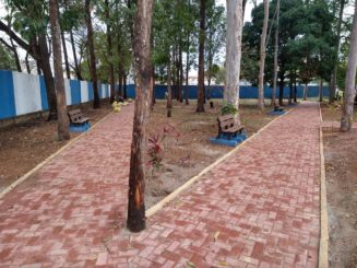 Nova pista de caminhada proporciona desfrute dos encantos da fauna e da flora