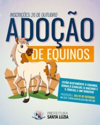 Prefeitura anuncia inscrições para a doação de 9 equinos