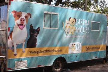 Prefeitura promove mutirão de castração de cães e gatos