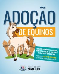 Prefeitura anuncia inscrições para interessados em adotar equinos