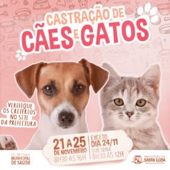 Inscrições para castração de cães e gatos começam na próxima segunda, dia 21