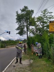 Prefeitura promove mutirão de capina na Avenida Brasília