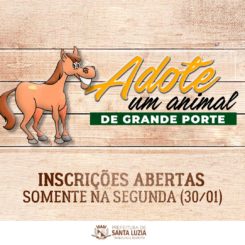 Prefeitura abre inscrições para a adoção de equinos