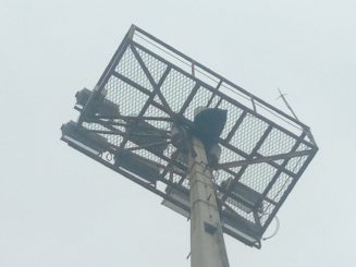 Iniciada a modernização da iluminação do 3º campo de futebol municipal