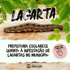 Prefeitura de Santa Luzia esclarece quanto à infestação de lagartas no município