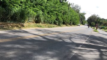 Prefeitura de Santa Luzia realiza serviços de capina na rodovia MG-020