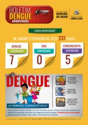 Prefeitura publica relatório com casos de dengue e chicungunya