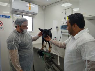 Prefeitura retoma e intensifica mutirões de castração